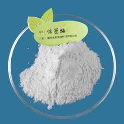 食品级溶菌酶 优质酶制剂在酒类行业中的创新应用