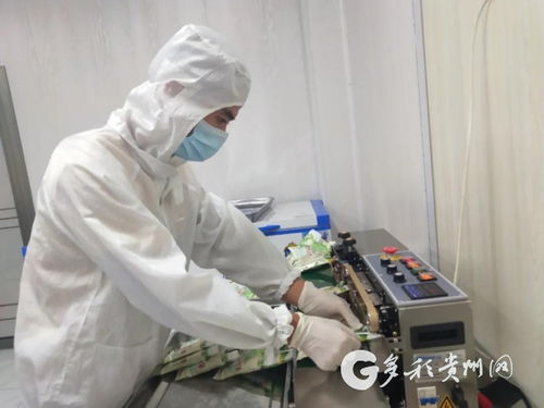 黔东美食飘香远 铜仁食品销售助推绿色经济发展