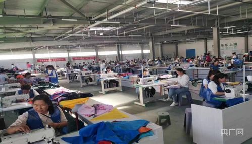 回归经济 宁县以酒类经营推动就业富民的实践路径